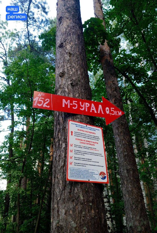 Стрелки-указатели установили в лесах Мордовии