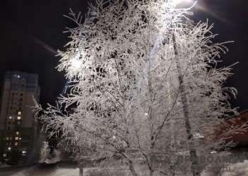 Народные приметы: 17 января