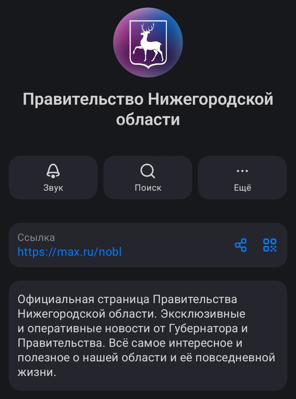Нижегородское правительство открыло канал в MAX