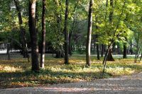 Попечительский совет парка Кулибина планирует провести посадку многолетних цветов вдоль улицы Горького Нижнего Новгорода ко Дню города