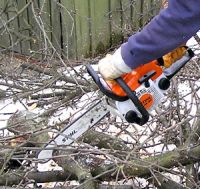 Более 2,5 млн. рублей затратит Городская управляющая компания Нижнего Новгорода на спил аварийных деревьев