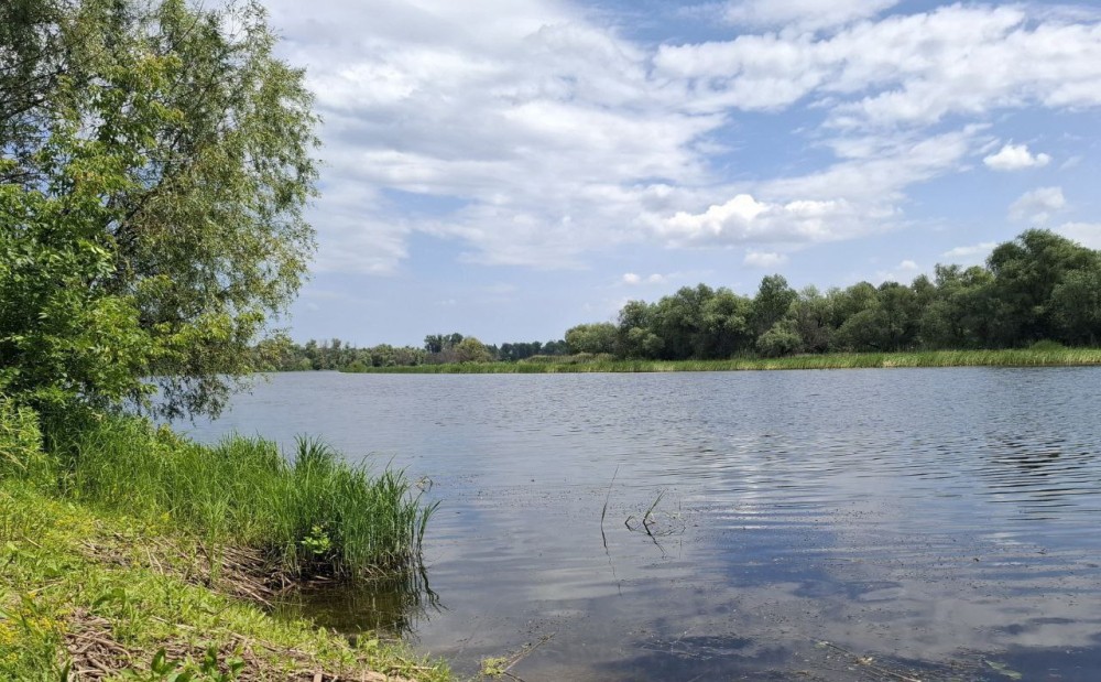 Популяция сибирской косули и оленя увеличилась вдвое в саратовском заказнике