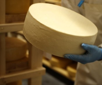 «Городецкая сыроварня» вошла в проект «Производительность труда»