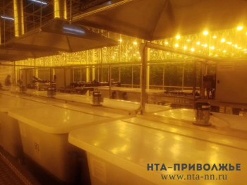 Тепличный комплекс Пермского края проверили на вирусы