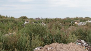 Несанкционированная свалка в Богородске Нижегородской области будет ликвидирована к 2023 году