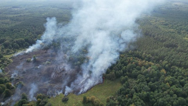 Задымление от рязанских пожаров в Мордовии продлится несколько дней