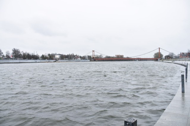 Специализированная компания займётся очисткой Суры в Пензе от водорослей