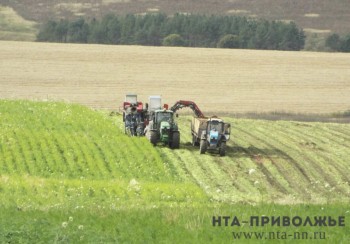 Хлеборобы Башкирии обещают хороший урожай в этом году Хлеборобы Башкирии обещают хороший урожай в этом году