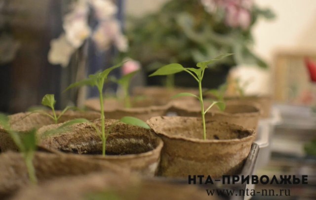Финансирование АПК Ульяновской области увеличили на 393 млн рублей