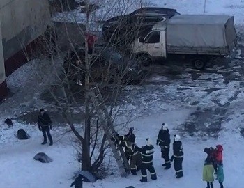 Нижегородские пожарные сняли ребёнка с дерева (ВИДЕО)