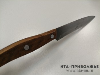 Уголовное дело возбуждено в Казани после убийства женщины мужем-иностранцем
