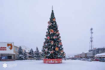 В Семёнове и Чкаловске установили новогодние ёлки по нацпроекту