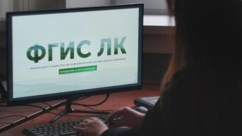 85% информации о лесных участках Нижегородской области уже загружено в систему «Цифровой лес»