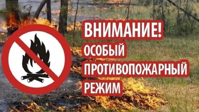 На территории Нижегородской области установлен особый противопожарный режим На территории Нижегородской области установлен особый противопожарный режим