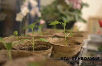 Начинающие фермеры Чувашии получили гранты "Агростартап" на 99 млн рублей Начинающие фермеры Чувашии получили гранты "Агростартап" на 99 млн рублей