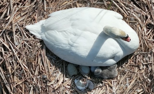 Фото: АртЛугов.