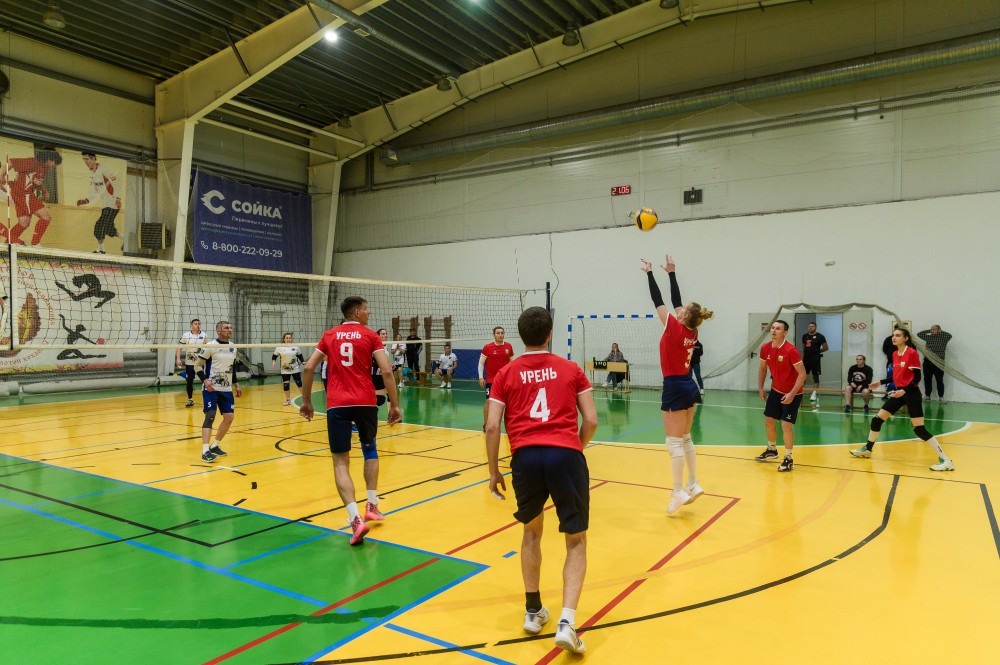 Нижегородцы примут участие в финале Всероссийского марафона спорта и здорового образа жизни «Земля спорта» Нижегородцы примут участие в финале Всероссийского марафона спорта и здорового образа жизни «Земля спорта»