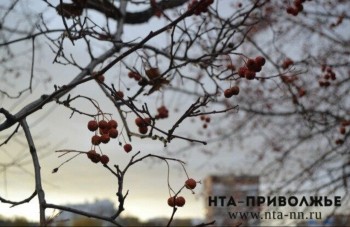 Народные приметы: 2 марта