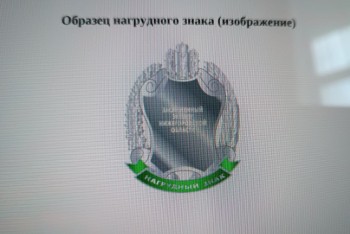 Унификацию материалов и размеров для &quot;Почетных знаков&quot; предложили в ЗС НО