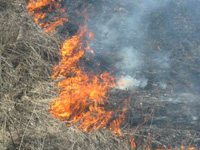 В Нижегородской области из-за возгорания травы в деревне Лысковского района сгорело более 26% домов