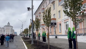 Аллею городов Поволжья высадили в Саранске Аллею городов Поволжья высадили в Саранске