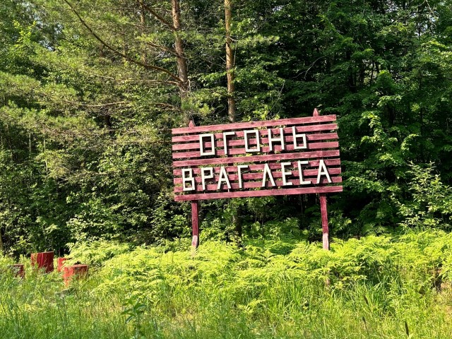 Минлесхоз напоминает нижегородцам о соблюдении правил пожарной безопасности в лесах