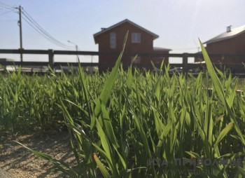 50 млн рублей выделено на оборудование участков для многодетных в Саратове