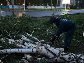 Шквалистый ветере повалил деревья и оставил без света дома в Ульяновске