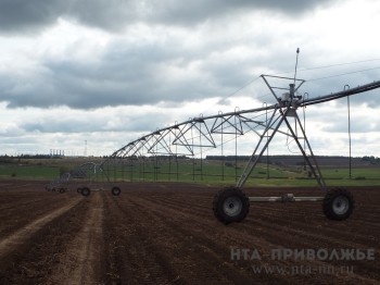 Затраты на весеннюю посевную в Нижегородской области оценены в 13,2 млрд рублей