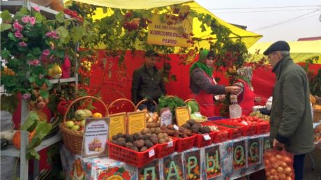 Более 270 сельхозтоваропроизводителей стали участниками ярмарки "Дары осени - 2016" в Чебоксарах Более 270 сельхозтоваропроизводителей стали участниками ярмарки "Дары осени - 2016" в Чебоксарах