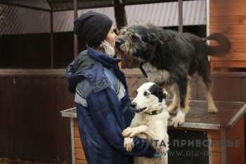 Проект &quot;Доброрубль&quot; и фонд &quot;Сострадание-НН&quot; запустили акцию &quot;Делать добро легче, чем кажется&quot;