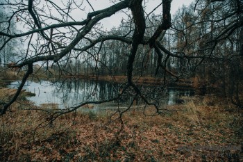 Прием &quot;экологических задач&quot; кандидатам на пост министра экологии Нижегородской области стартовал на портале &quot;Команда правительства&quot;