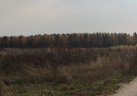Заблудившаяся в Семеновском районе девочка сама вышла из леса, пройдя несколько десятков километров (видео ТК &quot;Волга&quot;)