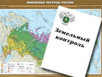 Собственник заброшенного земельного участка в Богородском районе Нижегородской области оштрафован на 20 тысяч рублей