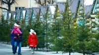 
&quot;Новогодний бульвар&quot; в Чебоксарах откроет Главный Дед Мороз города
