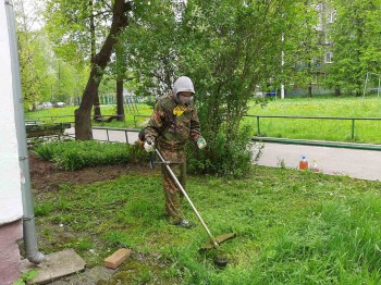 Покосы травы организованы в Чебоксарах