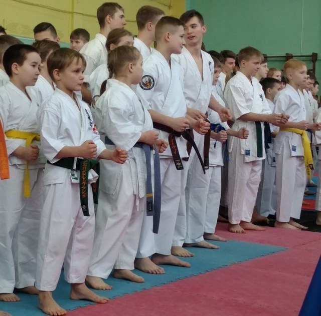 Юные нижегородцы завоевали семь медалей на соревнованиях по всестилевому карате в Ивановской области