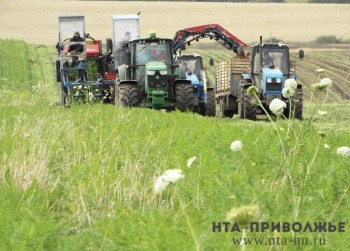 Свыше 804 тыс. гектаров земли засеют в Кировской области в 2025 году Свыше 804 тыс. гектаров земли засеют в Кировской области в 2025 году