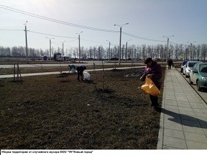 Экологические мероприятия прошли в "Новом городе" и в Новоюжном районе Чебоксар