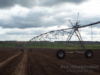 Четверть от запланированных площадей засеяно в Нижегородской области