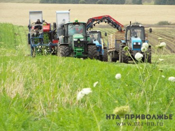 Нижегородские аграрии вернули в производство 25 тыс. га залежных земель