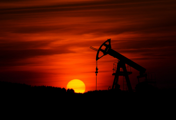 УФАС Удмуртии выявило признаки картельного сговора на торгах за нефтяной участок
