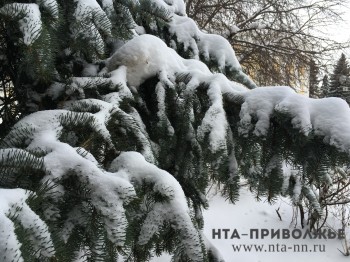 Народные приметы: февраль
