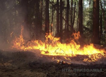 IV класс пожароопасности лесов ожидается в Нижегородской области 11-15 июля IV класс пожароопасности лесов ожидается в Нижегородской области 11-15 июля