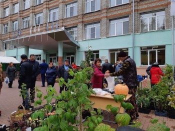 Ассигнования в размере 55 млн рублей выделены на поддержку садоводства в Нижегородской области в 2019 году
