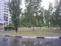В Сормовском районе Н.Новгорода 2 сентября отмечалось незначительное загрязнение воздуха диоксидом азота