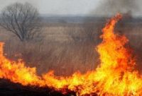 Руководитель сельхозпредприятия в Большемурашкинском районе Нижегородской области оштрафован за пал травы