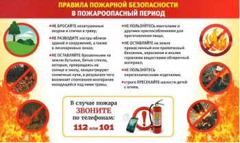 Штраф за разведение огня в нижегородских лесах может составить от 10 до 20 тыс. рублей