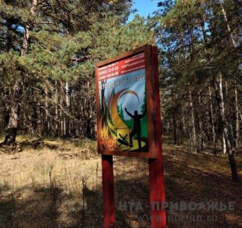 Запас семян лесных растений массой более 3 тонн сформировали в Нижегородской области Запас семян лесных растений массой более 3 тонн сформировали в Нижегородской области