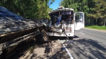 Семь человек пострадали в ДТП с ПАЗом в Борском районе Нижегородской области